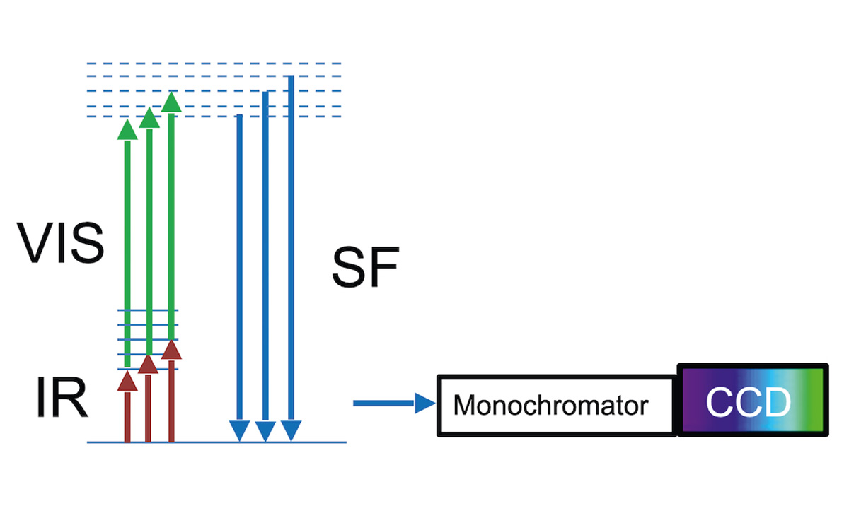 Broadband femtosecond SFG spectrometer
